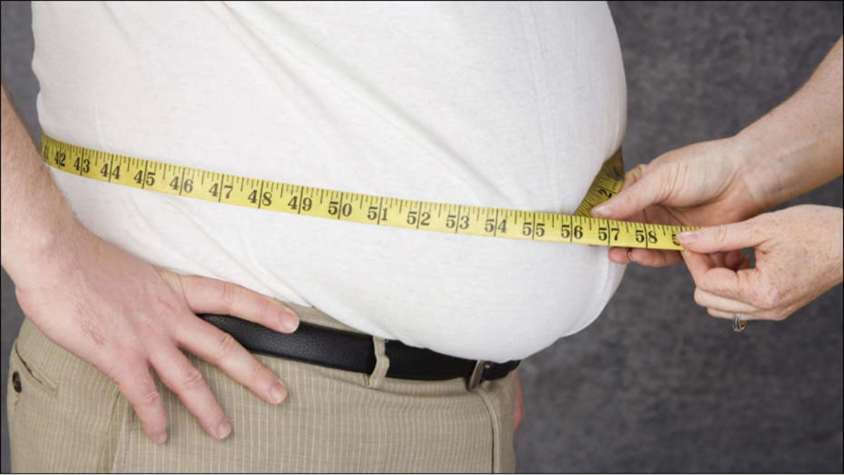 Brain reveals the risk for developing obesity: Study