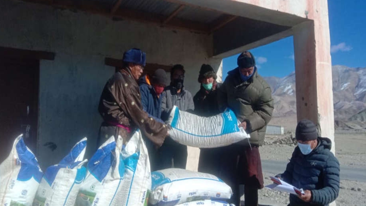 FOR LIVESTOCK REARING IN CHANGTHANG, 2,600 QUINTALS OF FEED DISTRIBUTED