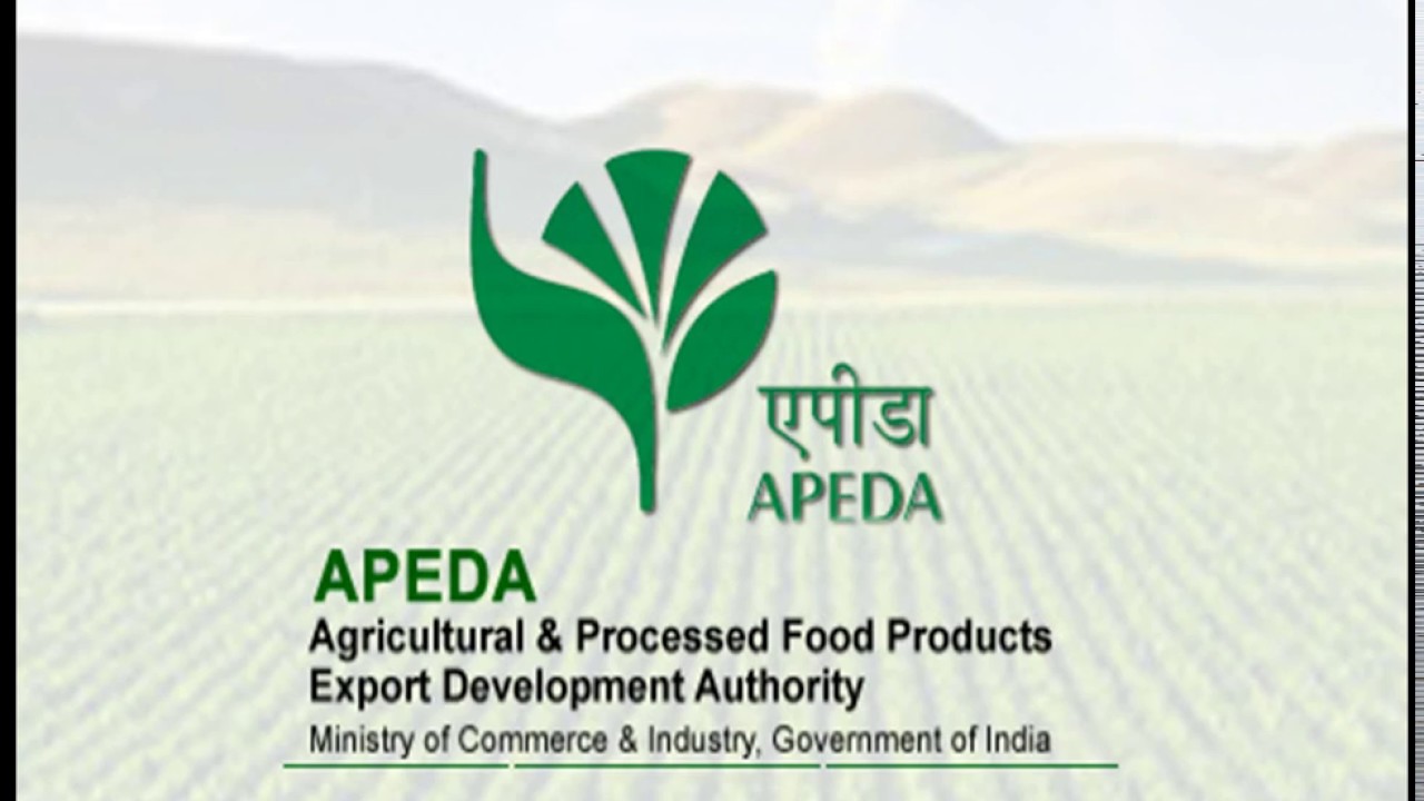 APEDA working in collaboration with state governments, farmers and others to boost honey export