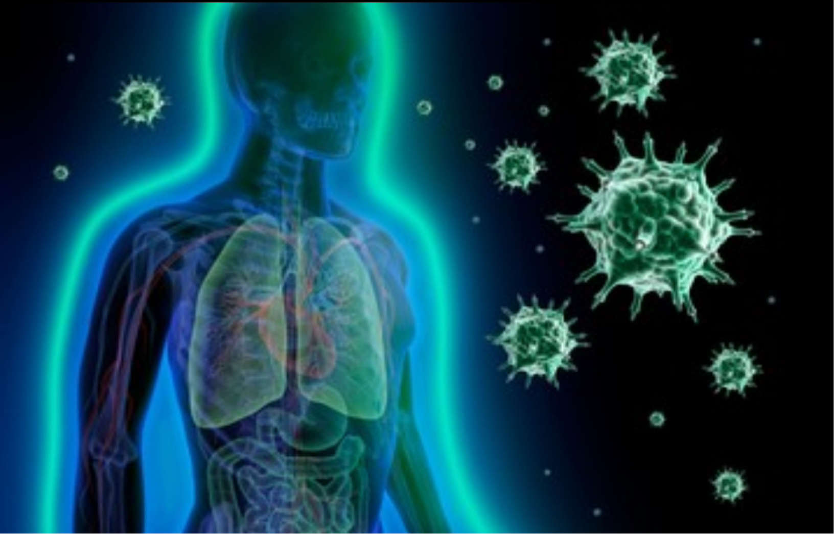 STUDY FINDS SARS-COV-2 EVADES OUR IMMUNE SYSTEM