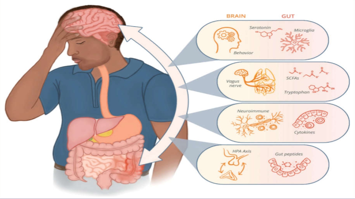 How to keep your gut healthy