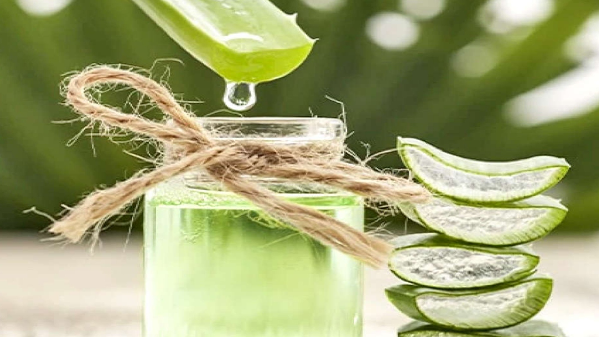 USE ALOE VERA TO REJUVENATE YOUR SKIN THIS MONSOON