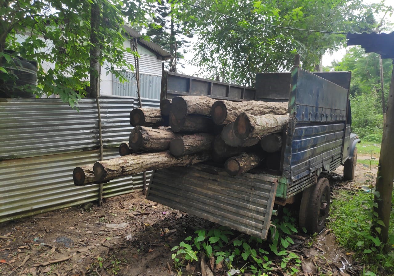 Forest officials seize lakhs of illegal timber in Assam’s Barpeta