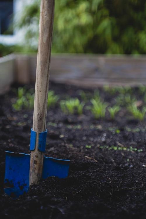 A BEGINNERS GUIDE TO CANNABIS GUERILLA GARDENING