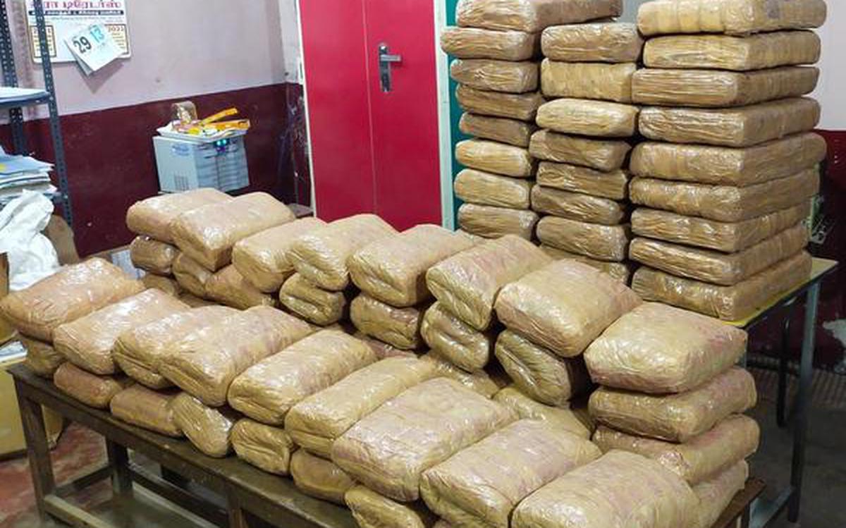 Assam Police seizes 927 kg ganja along the Assam-Tripura border