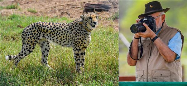 Congress leader Jairam Ramesh shares a 2009 letter to attack PM Narendra Modi amid cheetah credit war