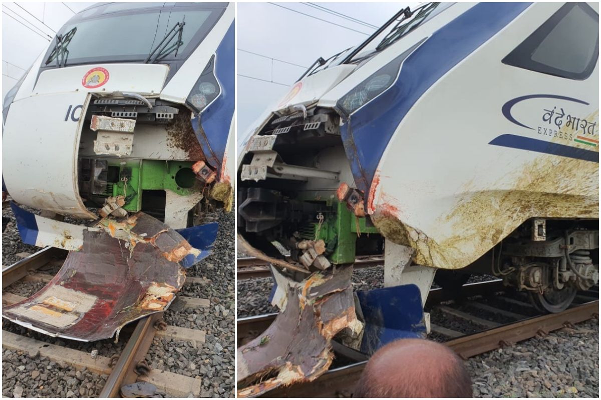 Vande Bharat train runs over cattle in Gujarat