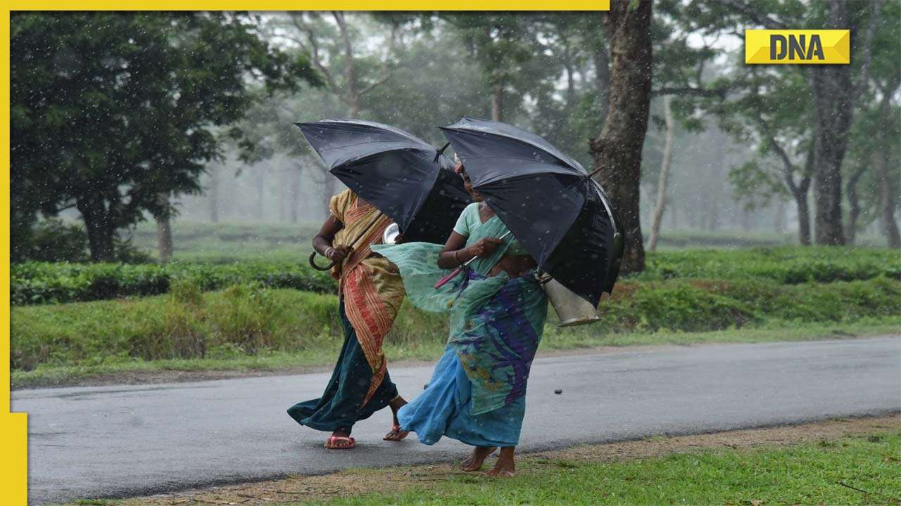 Heavy rainfall for next three days in UP, Uttarakhand among other states: IMD