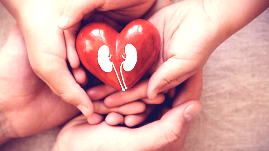 Heroic deed: Delhi witnesses an uptick in organ donation