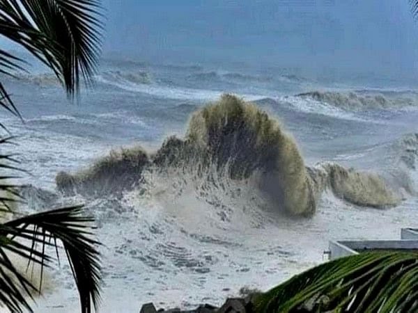 Chennai roads waterlogged, trees uprooted; trigger heavy rainfall in Tamil Nadu