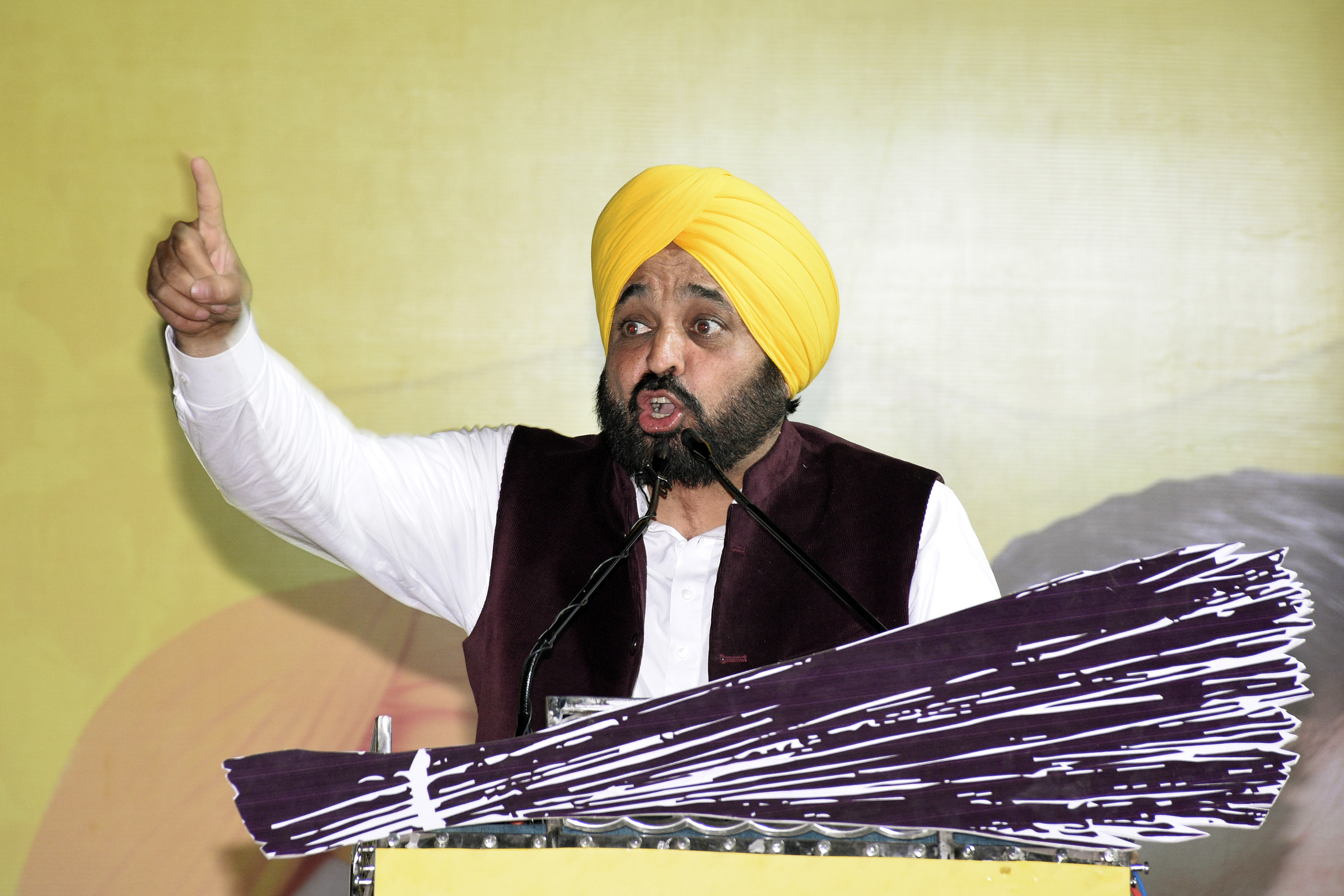 Mann expresses resentment over unceremonious removal of Punjab cadre