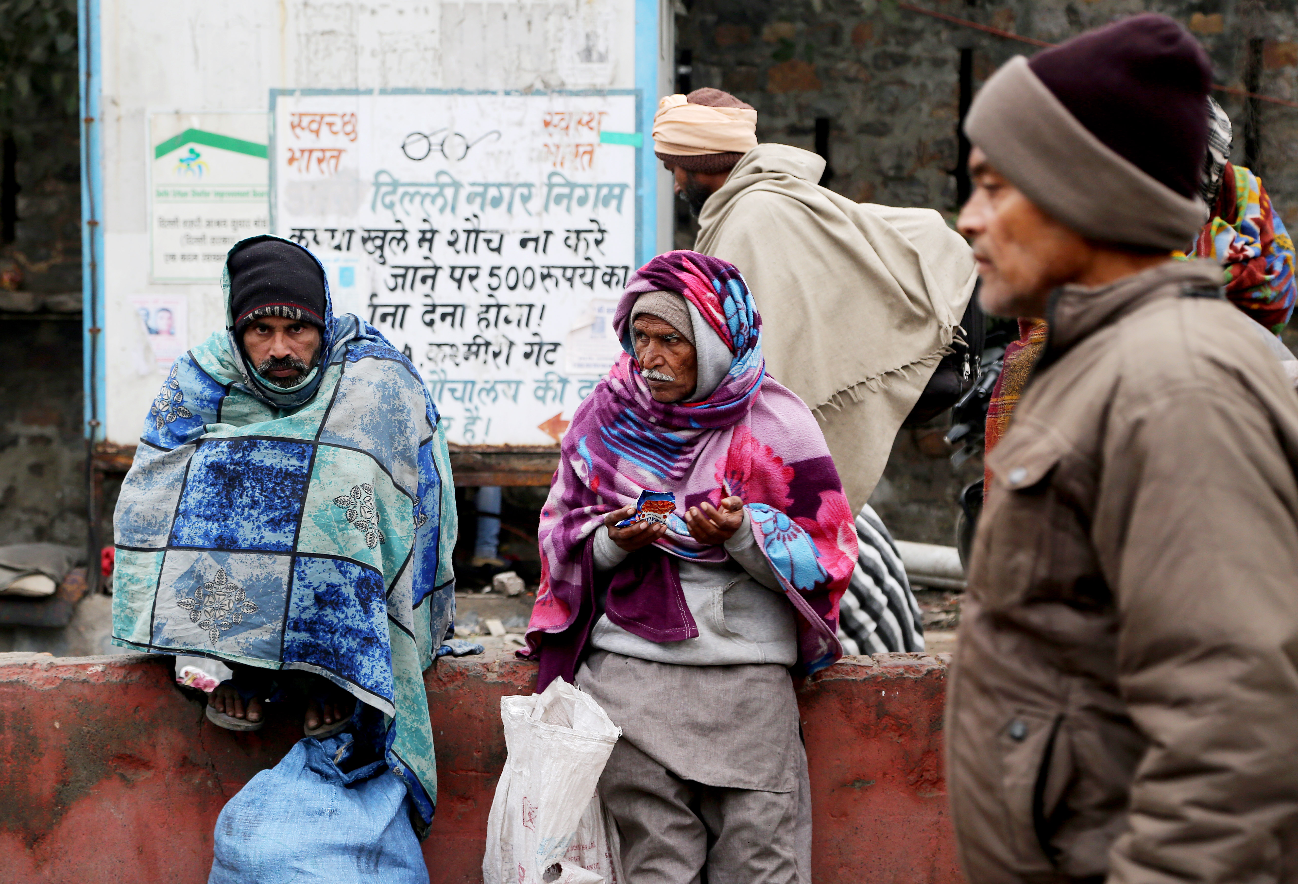 Intense cold wave continues to affect animals in Haryana