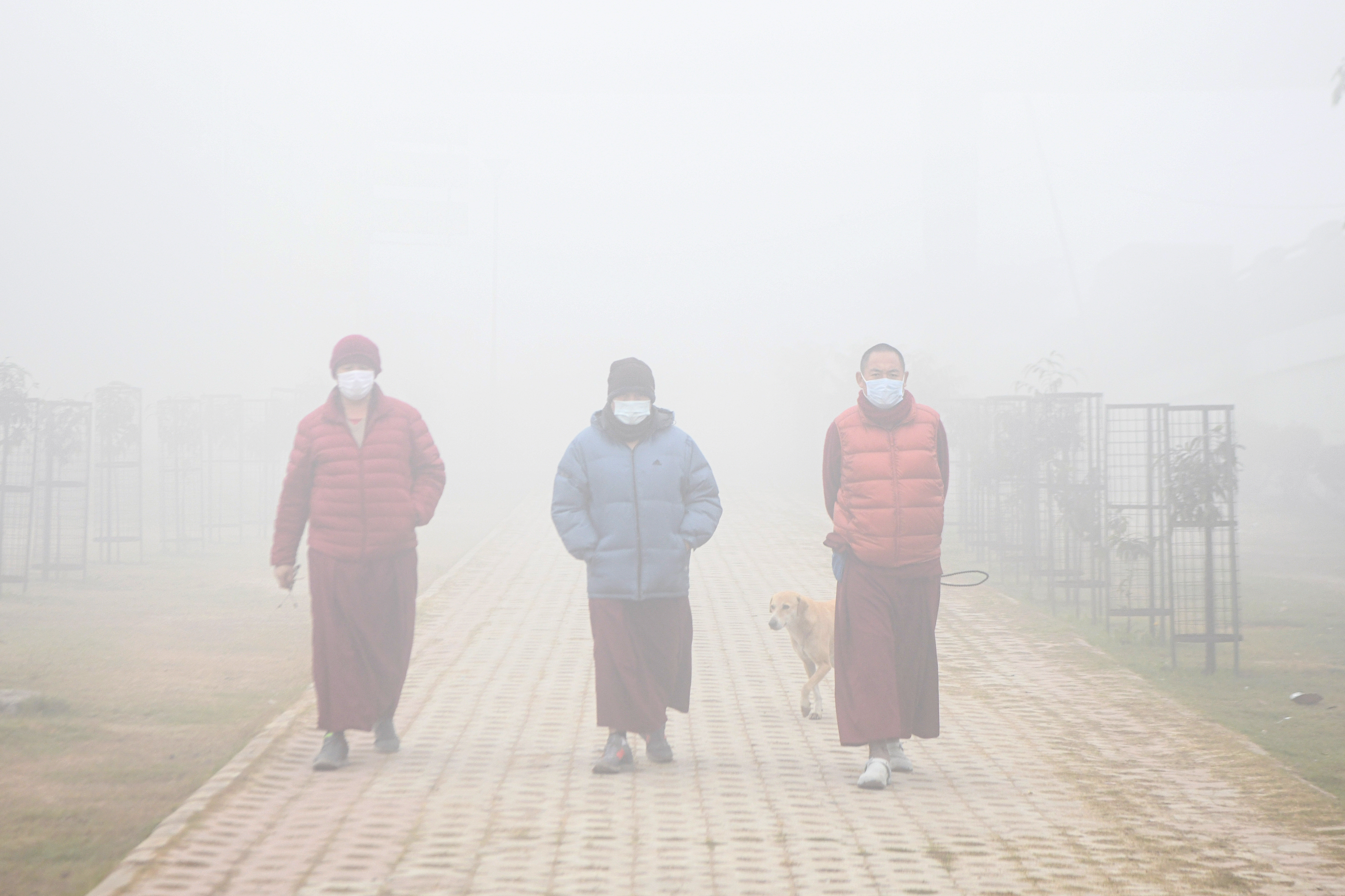 People take a walk in a park on a cold winter day