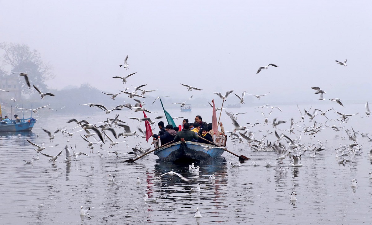 Relocation: A flock of migratory birds flying over the river Yamuna in Mathura