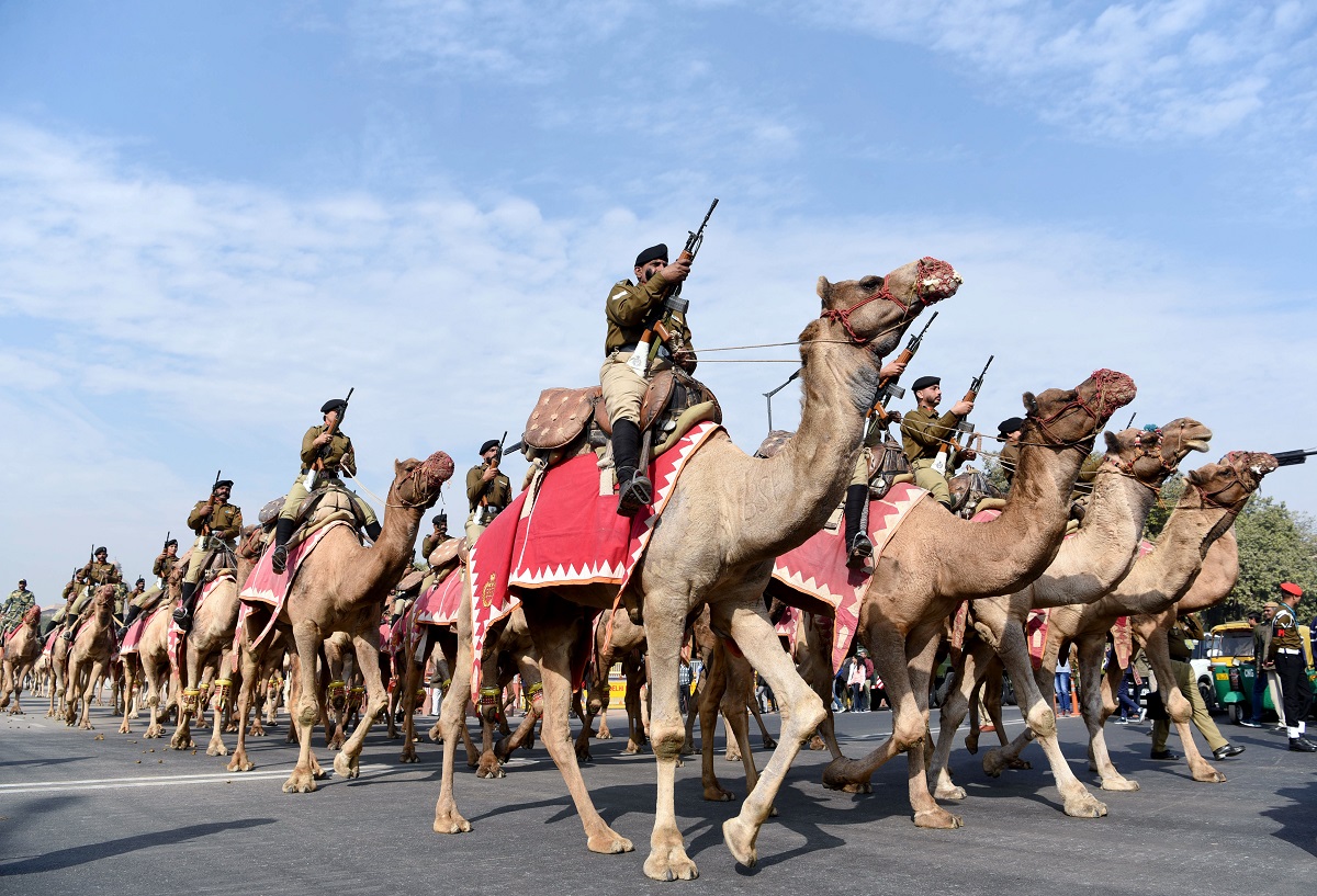 Republic Day Parade: BSF Camel contingent takes part in the rehearsal