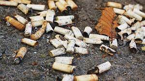 NGT order on cigarette, bidi butts sensible, timely