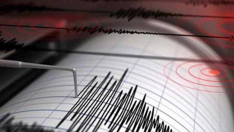 Strong earthquake tremors felt in Delhi