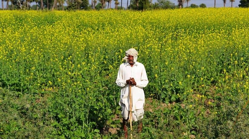 Govt raises Agriculture Budget for farmers’ welfare: Haryana Governor