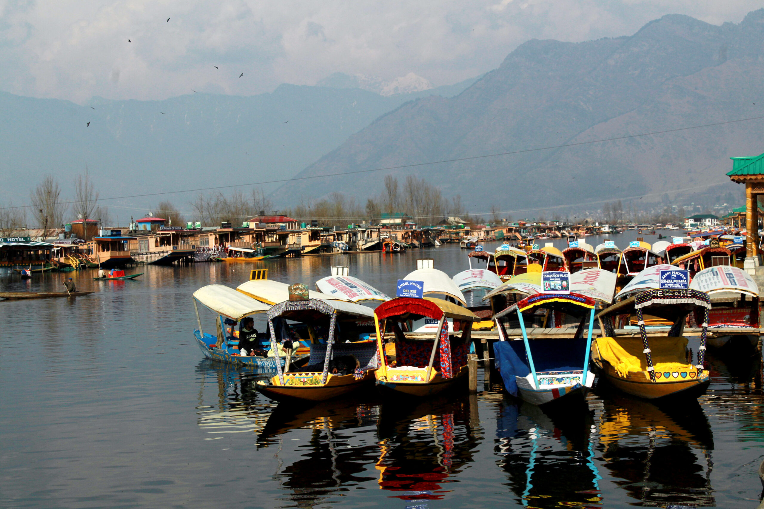 Shikharas are anchored on the banks of the Dal Lake