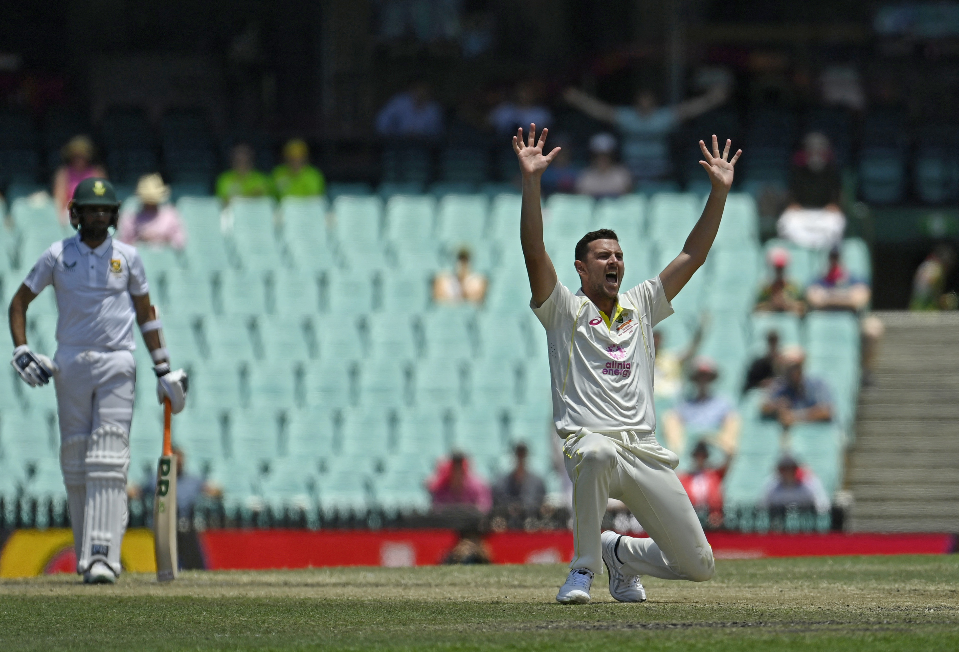 Australia suffers massive blow as speedster Hazlewood rules out for first Test against India