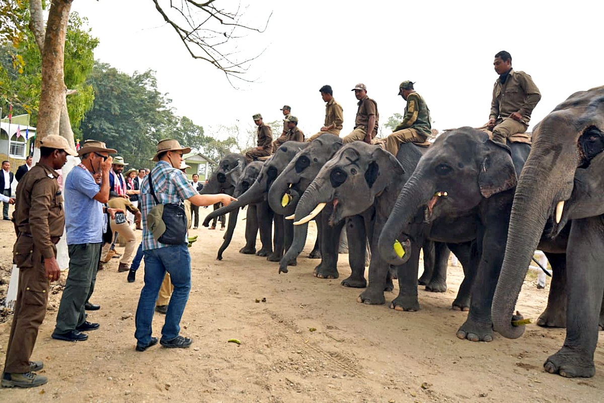 Delegates of G-20 visited Kaziranga National park in Golaghat