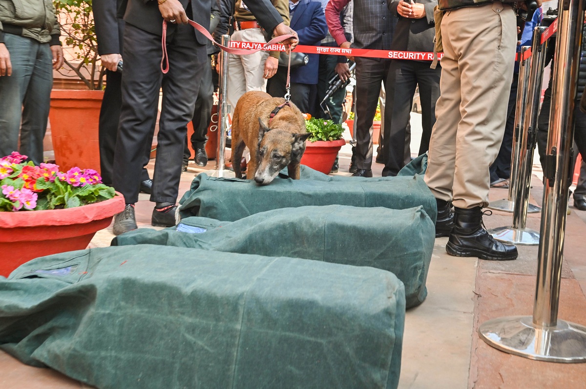 Union Budget 2023: Sniffer dog checks the copies before being given to MPs at Parliament premises