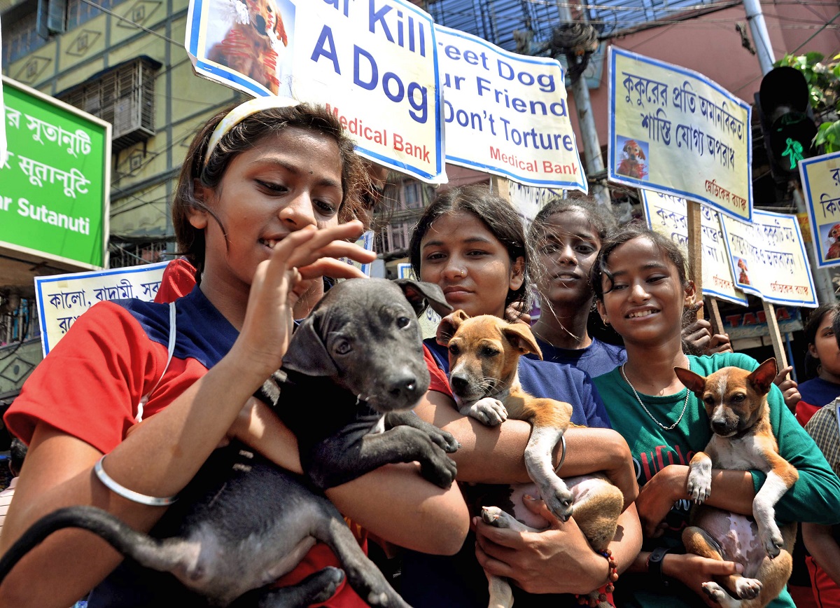 Children take part in a awareness campaign on protecting stray dogs from colours during Holi celebrations