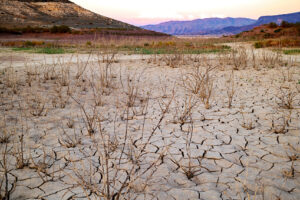 Afghanistan seeks UN support for storage of wheat amid concerns of drought