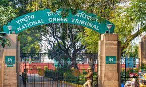 NGT Constituted Joint Committee to Investigate Deciding Snowfall in Himachal’s Kufri