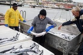 US panel approves salmon fishing ban for much of West Coast