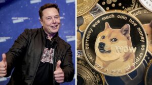 Elon Musk replaces Twitter’s Blue Bird logo with the ‘Doge’ meme