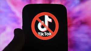 VIETNAM LIKELY TO BAN TITOK IF ‘TOXIC’ CONTENT NOT REMOVED