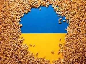 Poland to ‘temporarily’ prohibit grain imports from Ukraine