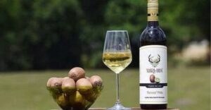 Kiwi wine turning into glass storm