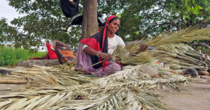 Nomads from Rajasthan weave brooms on roadside