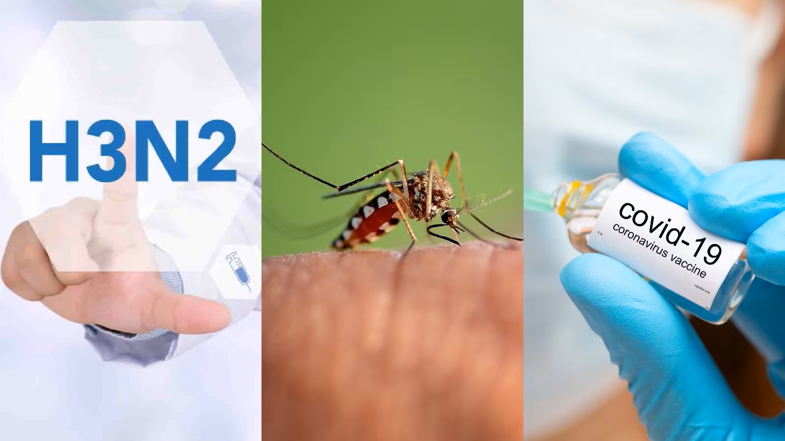 How Covid-19, H3N2 influenza, and Malaria are different