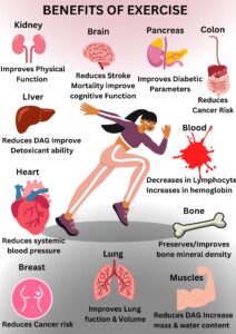 Understanding the Science of How Exercise Impacts the Body on a Medical Level