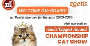 Cat Show Championship To Be Organised In Mumbai: Details Inside