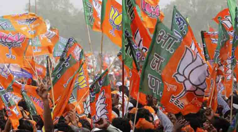 BJP focuses on strengthening state organisation and NDA expansion