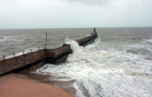 Cyclone Biparjoy: BSF expresses confidence to combat situation in Gujarat