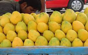 Mango diplomacy in full swing in Delhi