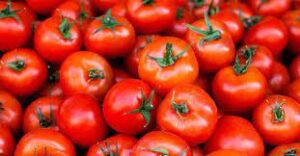 Tamil Nadu: Tomatoes to be sold at Rs.68 per kg in Farm Fresh Outlets to control prices