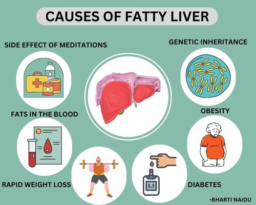 Why are women more at risk of developing liver diseases?