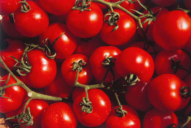 As tomato prices skyrocket, Centre plans procurement from key growing states