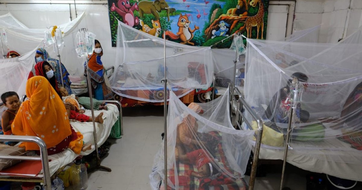 Bangladesh reports 18 more dengue deaths, taking death toll to 400