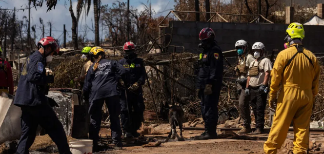 Maui confronts the challenge of finding 800 missing people after deadly fire