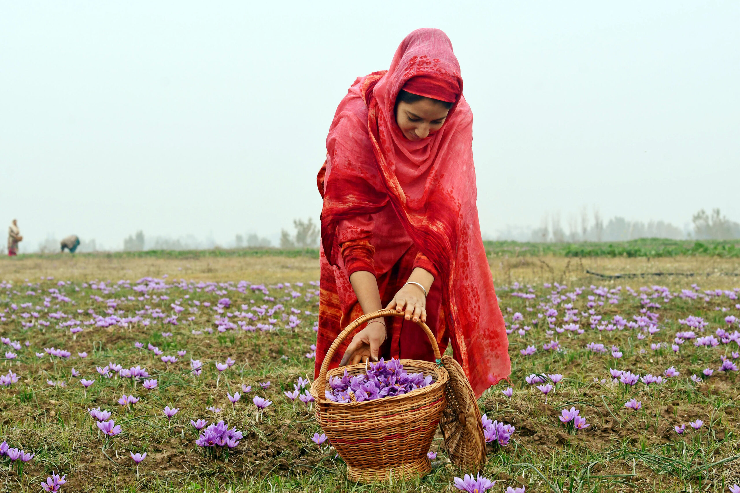 Asiya Jan’s Beekeeping Revolution in Pulwama – Empowering Village Women