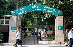 NGT Forms Panel to Probe Environmental Damage in Naina Bird Reserve