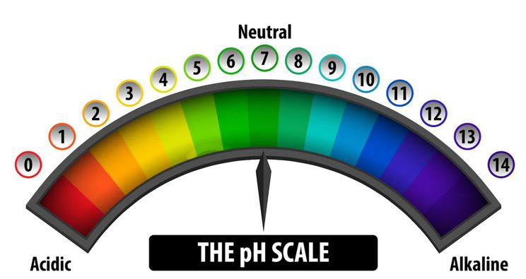 Impact of pH Levels in Bath and Skincare Products on Skin Health