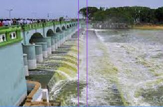 Cauvery Water Row: “We Are Protecting Farmers Interest” Says Karnataka Dy CM Shivakumar